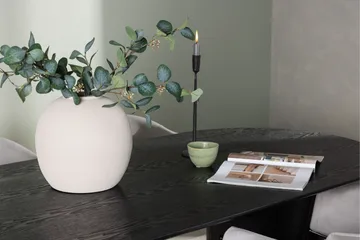 Isolde Matgrupp 180 cm Oval med 4 Evelina stolar - Svart - Products - Möbler - Bord & matgrupp - Matgrupp