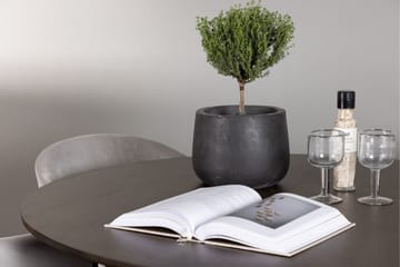 Kaseidon Matgrupp 100 cm Rund med 4 Evelina stolar - Svart - Products - Möbler - Bord & matgrupp - Matgrupp