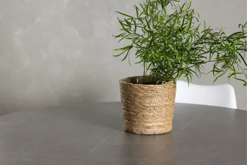 Piazza Matgrupp  120 cm Rund med 4 Zeno stolar - Grå - Products - Möbler - Bord & matgrupp - Matgrupp