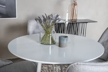 Ridones Matgrupp 100 cm Rund inkl 4 Valera Stolar - Vit/Grå - Products - Möbler - Bord & matgrupp - Matgrupp