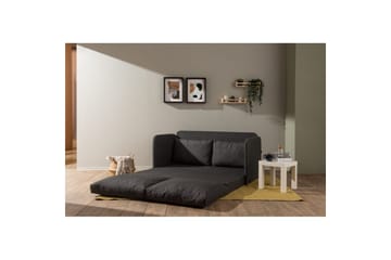 2-sits bäddsoffa Rubby (148 x 70 x 66 cm) Mörkgrå - Mörkgrå - Products - Möbler - Soffa - Bäddsoffa - 2 sits bäddsoffa