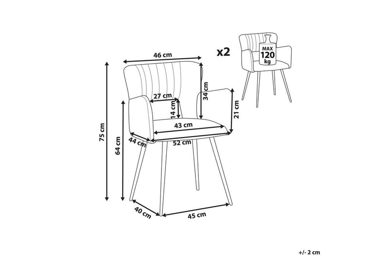 Set med 2 matstolar Sanilac - Svart - Products - Möbler - Fåtölj & stolar - Karmstol