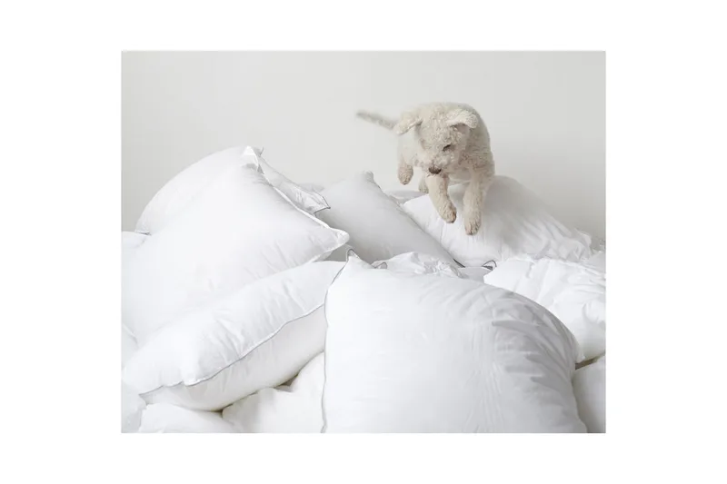 Kudde Hotellkudde - 50 x 60 cm (mellanhög) - Products - Textil & mattor - Sängkläder