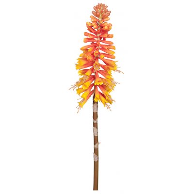 Kniphofia kunstplant - €13.99 - Trendrum.nl